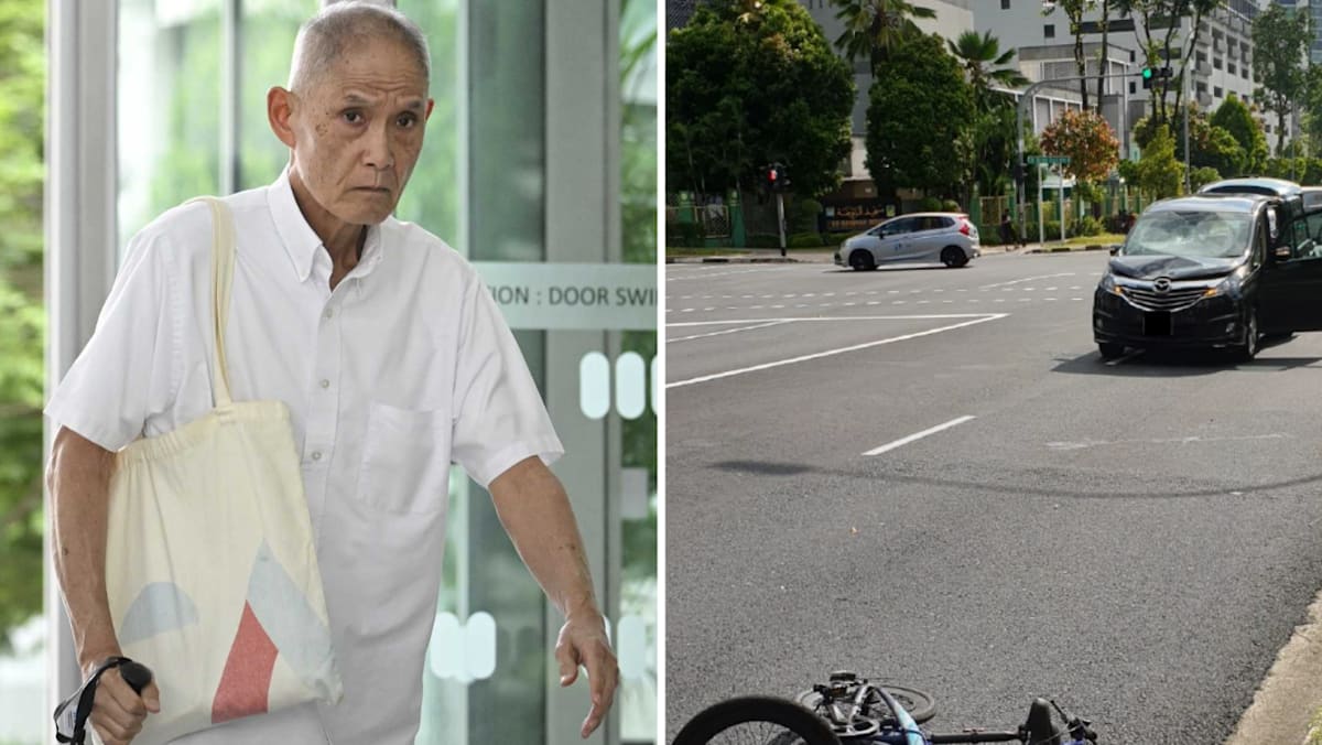 New Ubin Seafood co-founder admits beating red light in fatal collision with cyclist