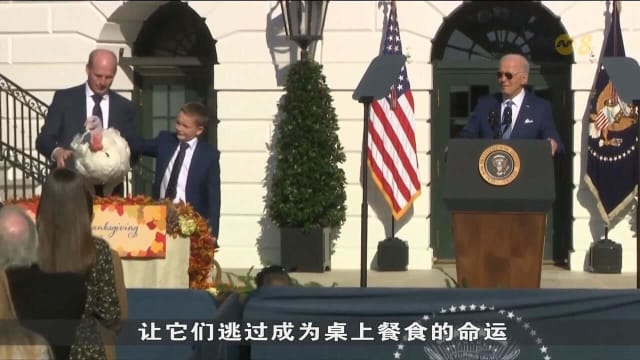 美国感恩节出行人数或达8000万 航空交通量料创新高