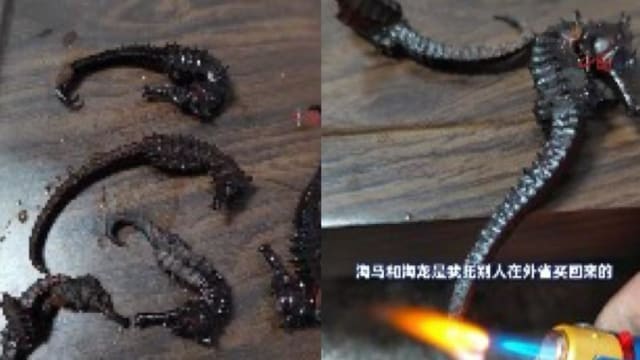 男子托友买海马来泡药酒 两年后喝完才发现是玩具