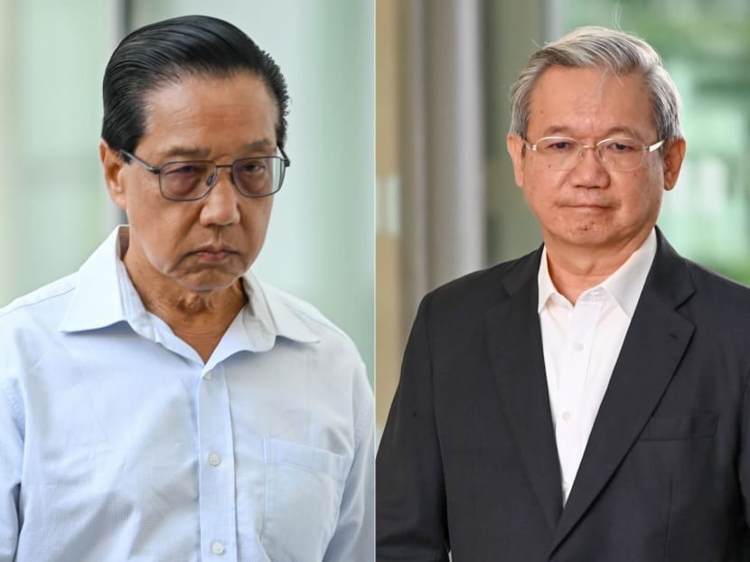 (Left) Lee Fook Kang and Wong Weng Sun at the State Courts on March 28, 2024. (Left) Lee Fook Kang and Wong Weng Sun at the State Courts on March 28, 2024.