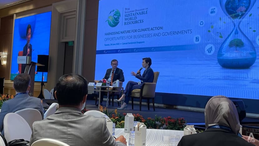  Ukraine war has made some governments walk back on energy commitments: Grace Fu 