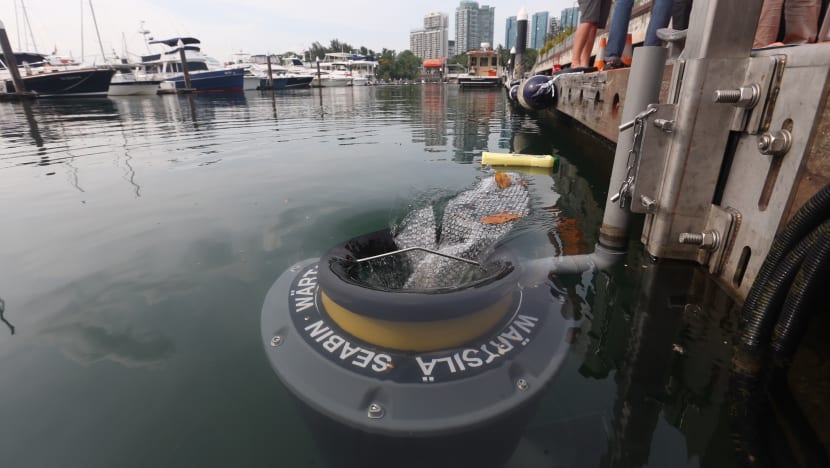 Floating garbage can: First Seabin installed in S’pore waters at yacht club