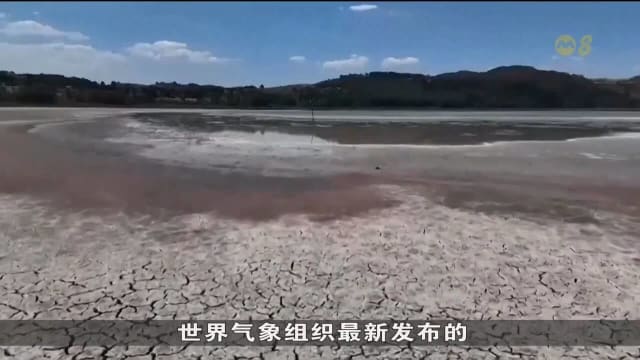 联合国警告：未来五年全球将迎来更致命高温酷暑