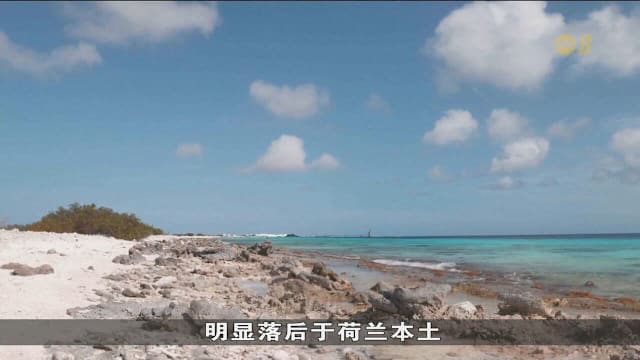 荷兰法院裁定政府气候政策区别对待博内尔岛居民