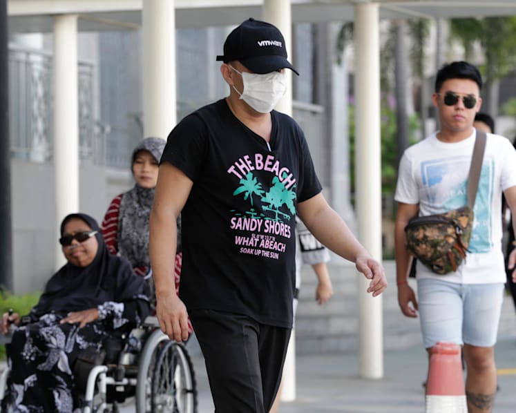 Man admits to killing cat, prosecution calls for counselling as sentence