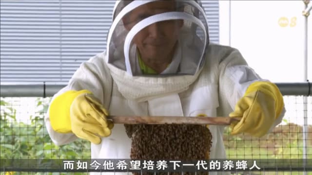 蜂巢搬迁服务过去一年增加逾一倍