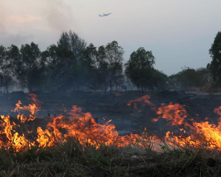 New offence for causing fire, decriminalisation of suicide among legislative changes effective from Jan 1