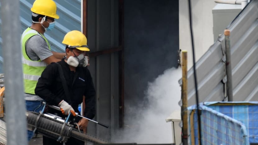NEA urges public to 'stay vigilant' to prevent year-end rise in dengue cases