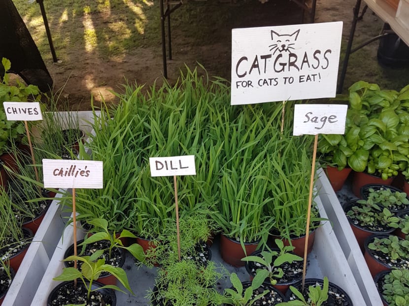 Eat, drink and be merry in Brisbane