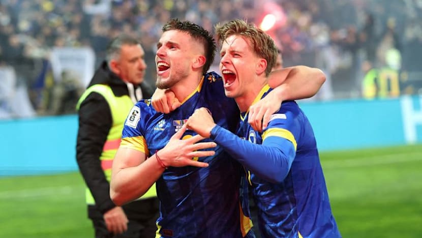 Drinks on me! Bosnia's Demirovic to buy Stuttgart fans beer after World Cup qualification