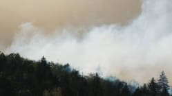 Related article image