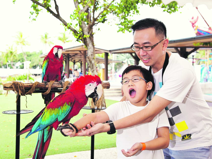 Escape to Sentosa Part 1: For the family