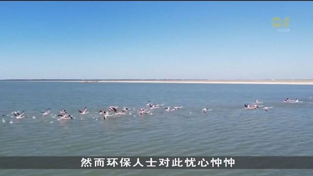 阿尔巴尼亚新建机场 环保人士表示担忧