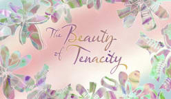 The Beauty of Tenacity