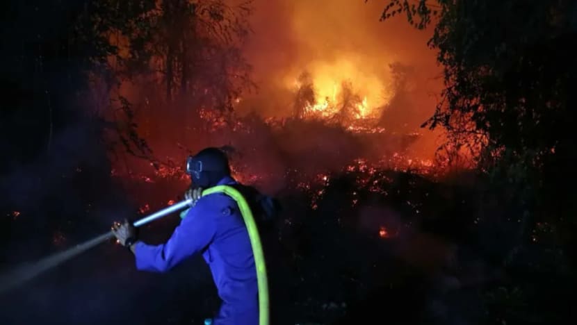 Titik panas di Indonesia meningkat kepada 909, jerebu rentas sempadan berterusan: Kementerian Perhutanan