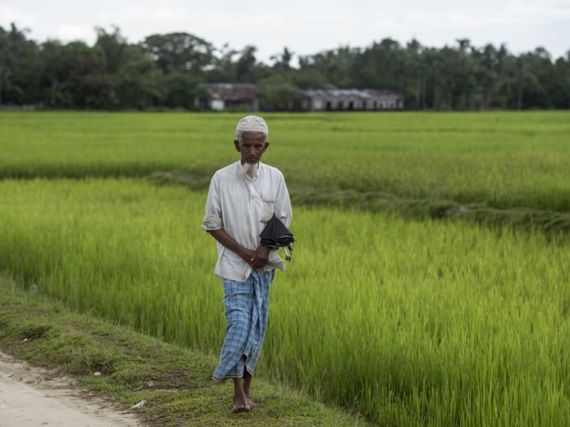 In this picture taken on September 27, 2017, a Rohingya Muslim man walks along a field at Pan Taw Pyin village in Maungdaw in Myanmar's northern Rakhine state.