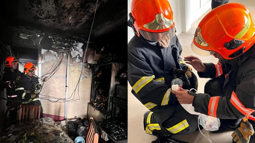 Infant taken to hospital, two cats rescued following fire at Jurong East flat