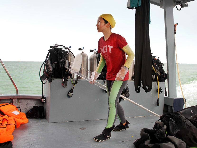 Corals record monsoon patterns, marine chemistry variations