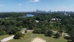 Related article image