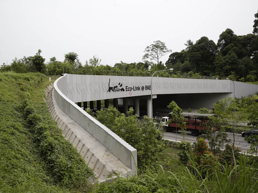 Limits to waste output a must for sustainable S’pore