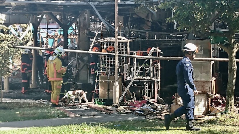 Fire guts Jurong West wet market, coffee shop