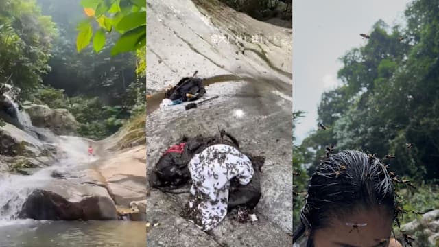 马国游客徒步被大黄蜂群袭 冒险从瀑布滑下脱险