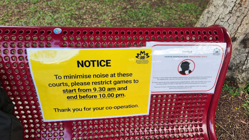 Commentary: Are pickleball noise complaints a sign of a less tolerant Singapore?