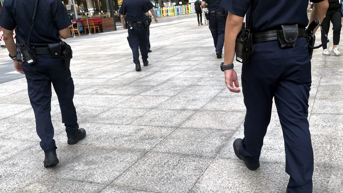 Enhanced patrols, crowd control measures at Orchard Road on Christmas Eve