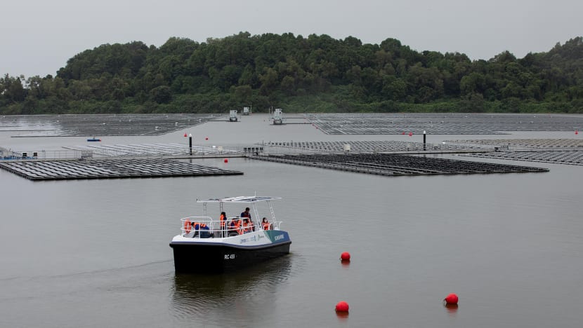 Tengeh Reservoir floating solar farm opens with 122,000 panels that will power S'pore's 5 water treatment plants