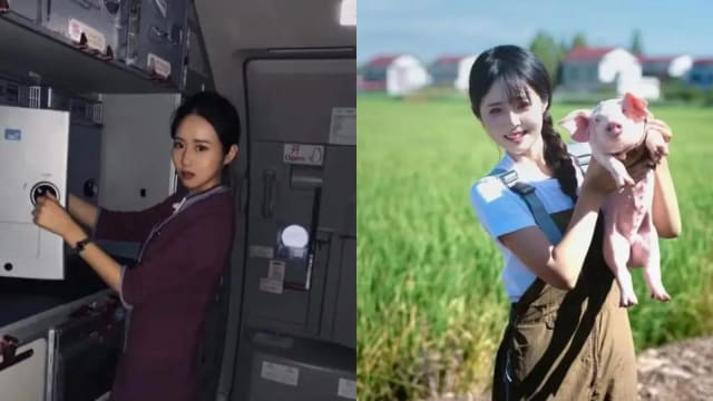 中国空姐辞职回乡养猪 两个月赚近4万元