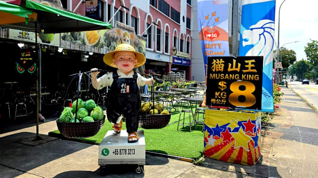 #sgdeals 榴梿尾季大惊喜！利陞榴莲王推出“彭亨高山猫山王$8/1kg”优惠