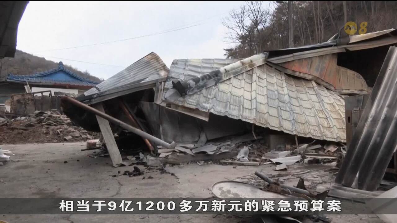 韩国林火肆虐近九天终熄政府拟追加10兆韩元紧急预算案- 8world