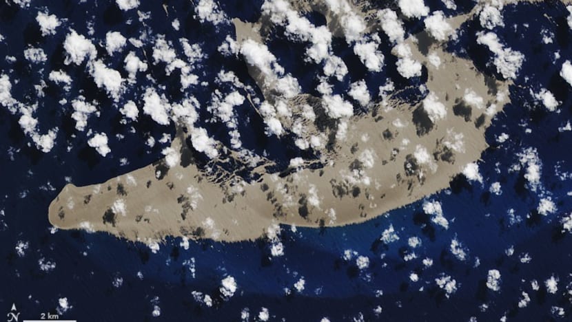 Explainer: What are pumice rafts and can they really ‘save’ the Great Barrier Reef?