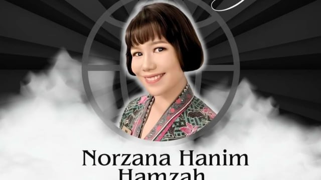 出差日本等待返航 马航空姐骤逝