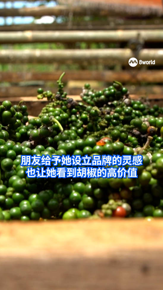 挚友一言，引她走出贫困，家中财富瞬间翻倍！