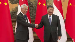 Related article image