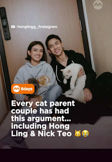 Well, someone has to be the bad cop #8dayssg #8dayssglocalent #cat #pet #couple 