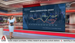 Real wages grew 3.2% in 2024 as inflation eased: MOM