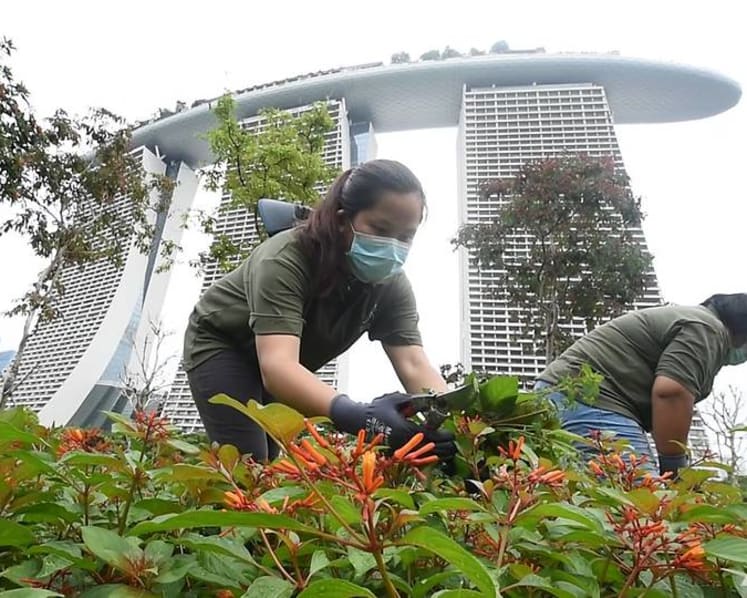 Going the extra mile to keep Gardens by the Bay neat and tidy during the COVID-19 circuit breaker