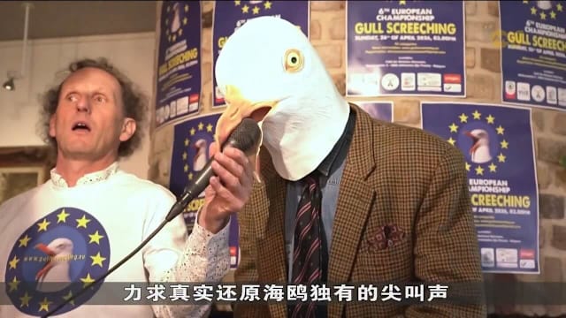 比利时海鸥叫声模仿赛 70多名选手参赛望打破刻板印象