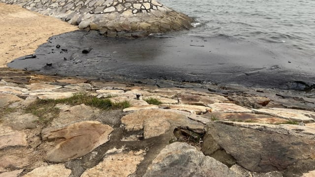 想协助清理海滩油渍的公众可上网报名