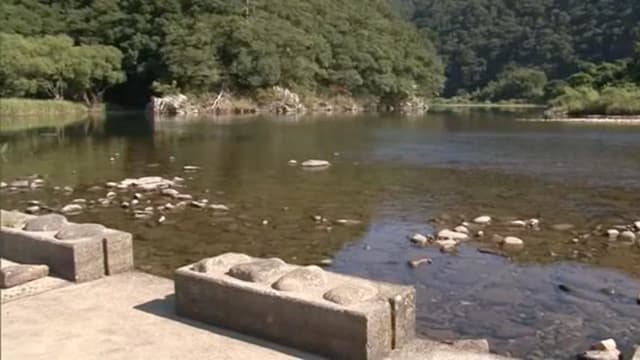 日本女童河中玩耍溺水 母亲救女被冲走沉河底