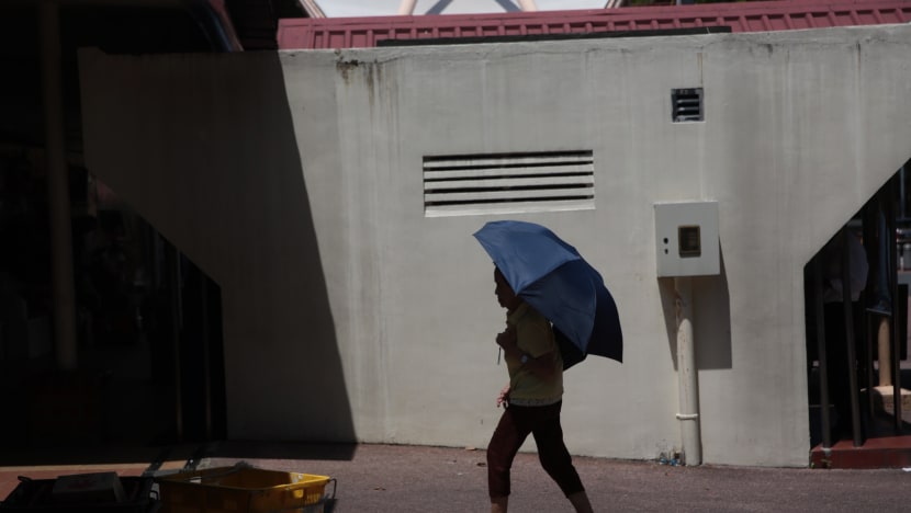Hot weather in Singapore expected to ease in last 2 weeks of August