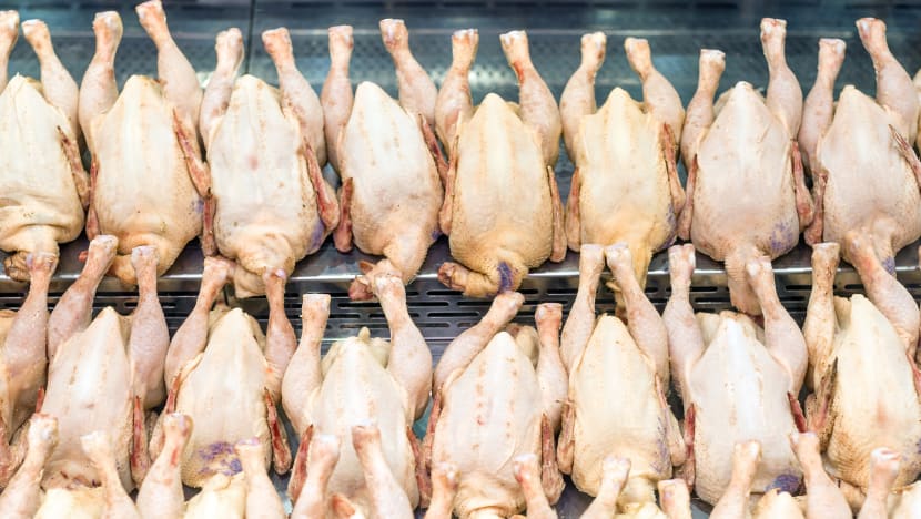 Operations manager gets 16 months’ jail for stealing more than 10,000 fresh and frozen chickens from employer