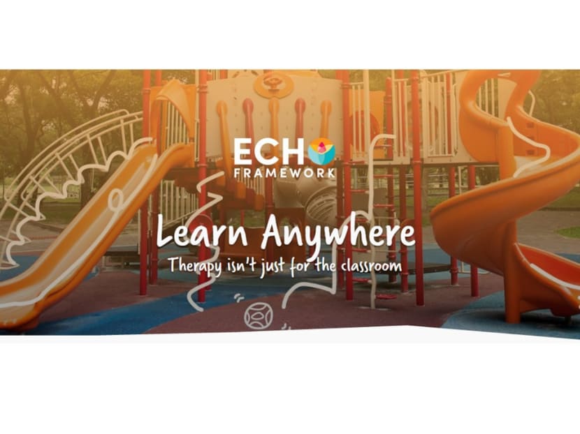 A screengrab from the Echo Framework website.