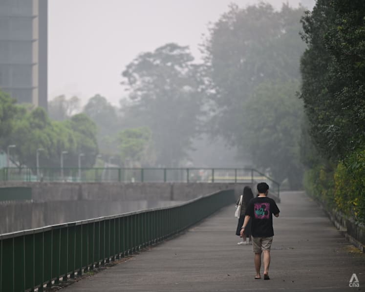 Spike in PM2.5 in Singapore catches people off guard, haze hits businesses and outdoor workers Spike in PM2.5 in Singapore catches people off guard, haze hits businesses and outdoor workers