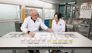What's Coming Up - TP greek yoghurt
