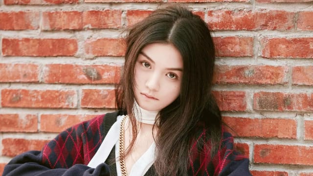 中国女星春夏声援“白纸革命”　惊传遭春晚、新片除名