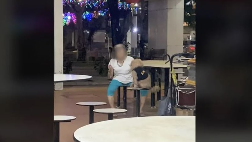 AVS siasat video wanita warga emas rotan anjing di pusat penjaja