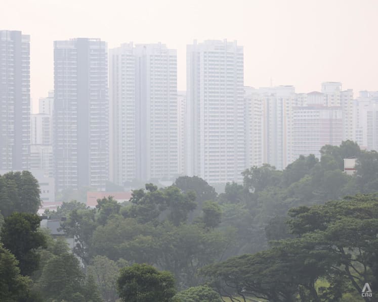 NEA issues notices to 10 Singapore-based firms for first time under haze law